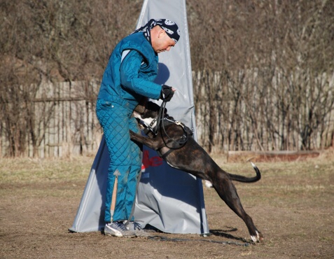 Training in Estonia 30.3 - 1.4. 2007